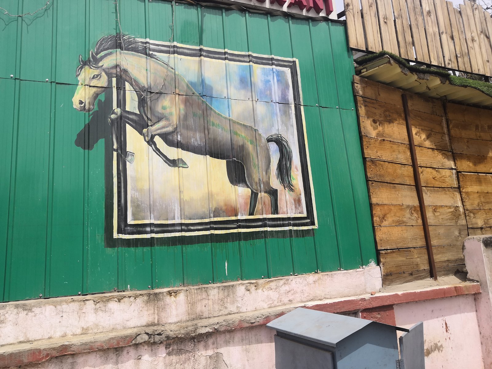 19. Mural w mieście Dżaipur.