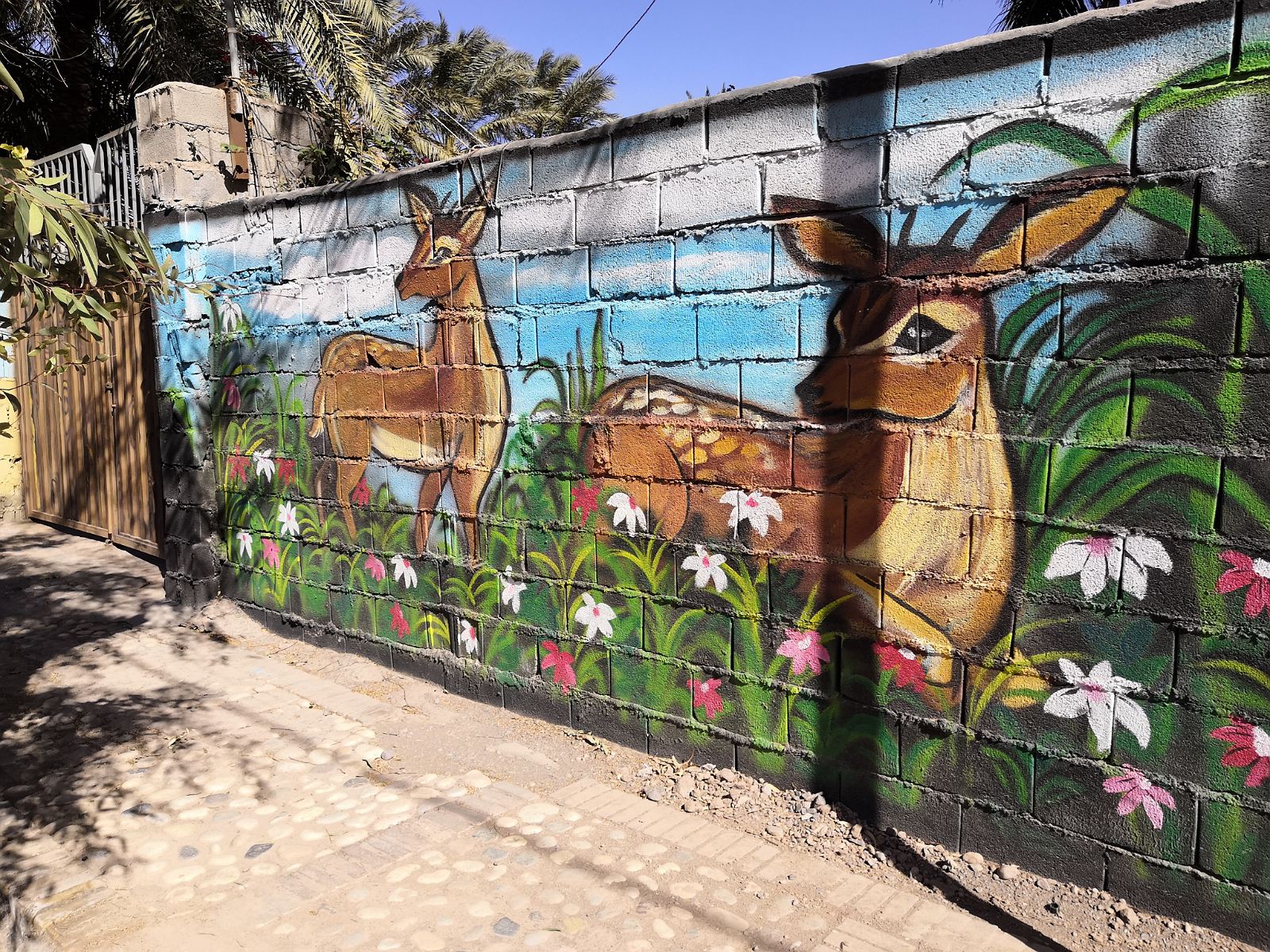 37. Mural w mieście Bam.