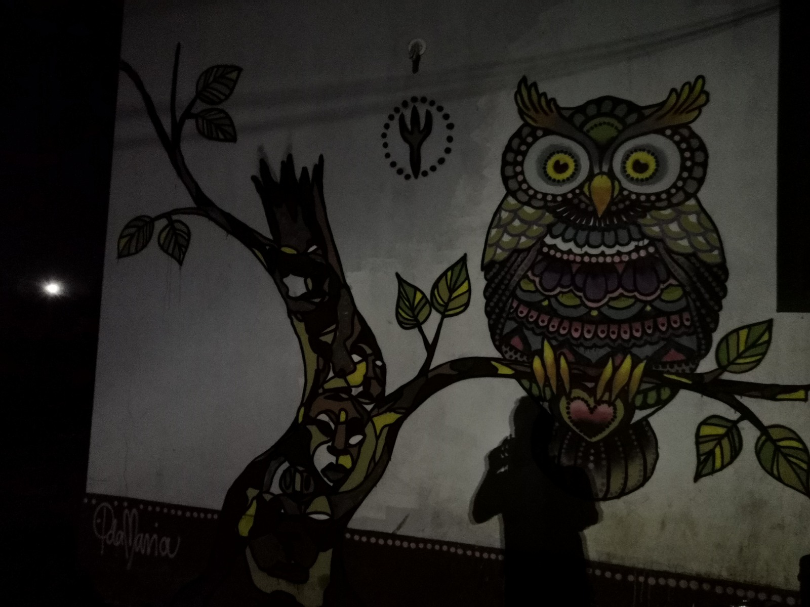 57. Mural w miejscowości Anjuna.